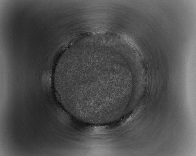 X0000089690501200707121338