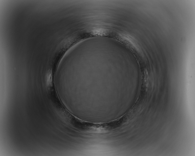 X0000089690502200707121338