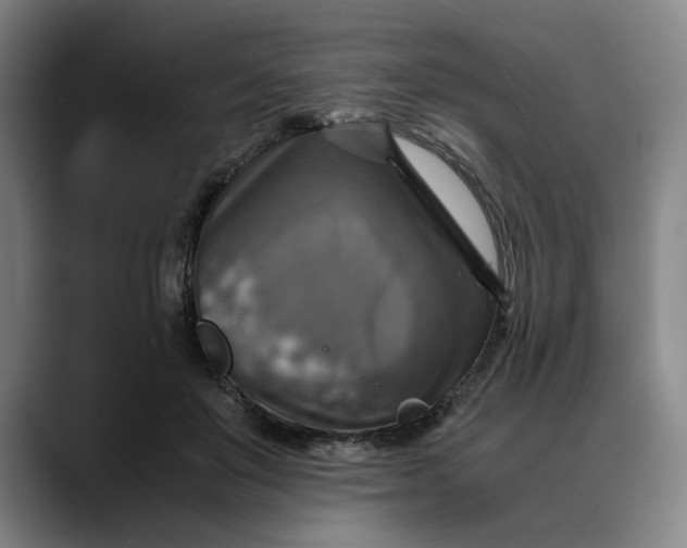 X0000089690503200707121338