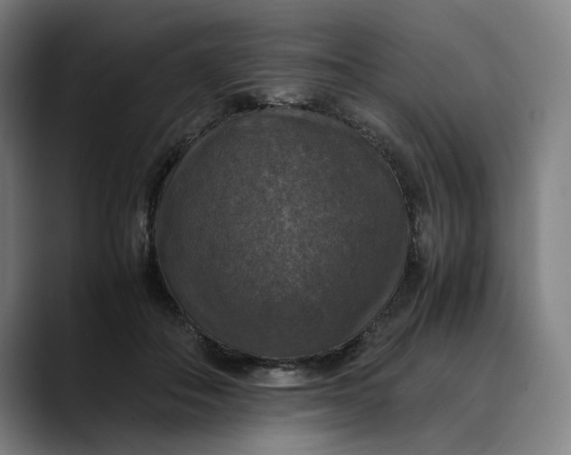 X0000089690506200707121338