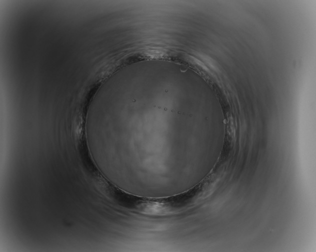 X0000089690507200707121338