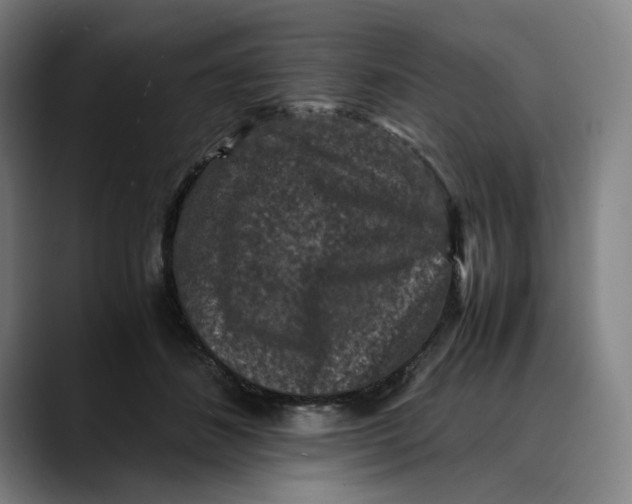 X0000089690508200707121338