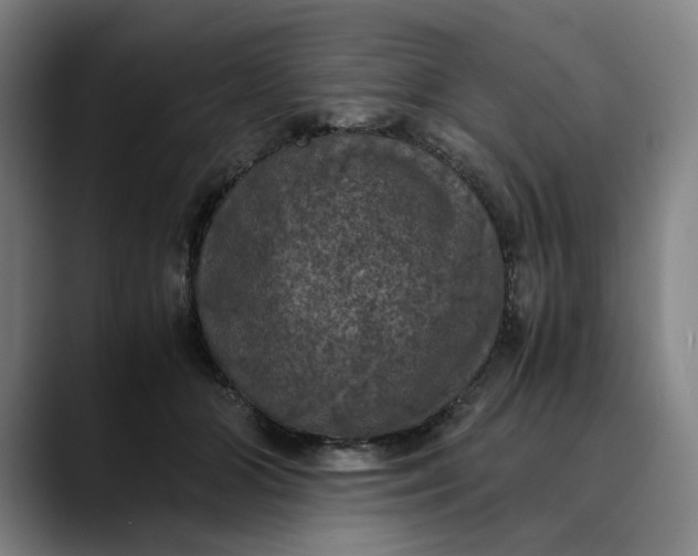 X0000089690510200707121338