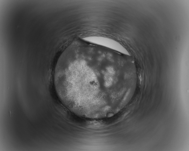 X0000089690511200707121338