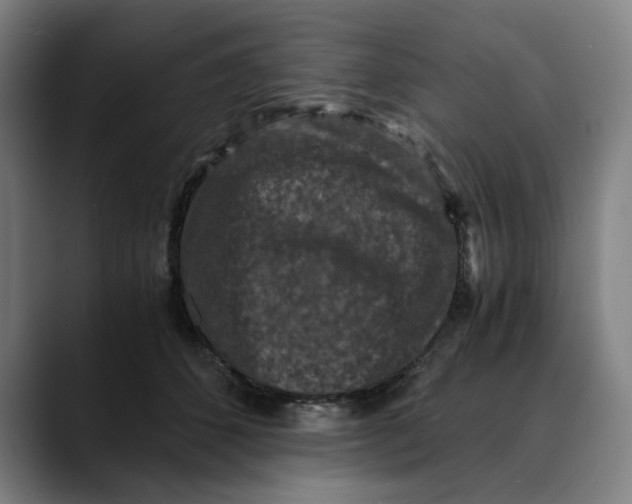 X0000089690512200707121338