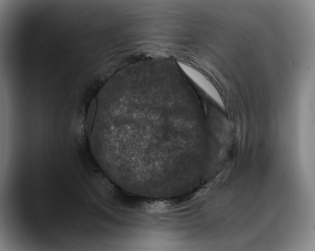 X0000089690513200707121338