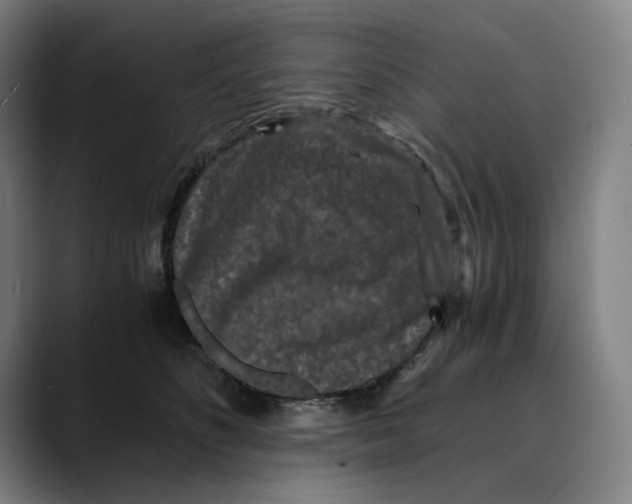 X0000089690516200707121338