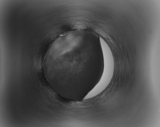 X0000089690517200707121338