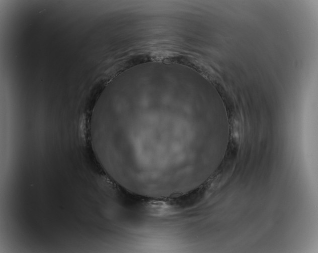 X0000089690519200707121338