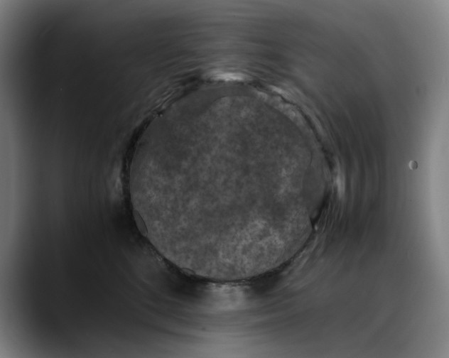 X0000089690520200707121338