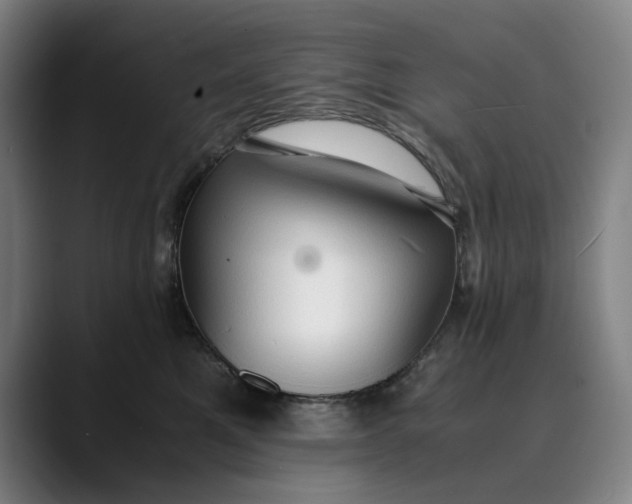 X0000089690521200707121338