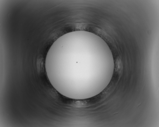 X0000089690522200707121338