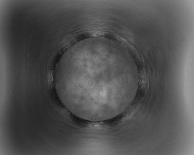 X0000089690523200707121338