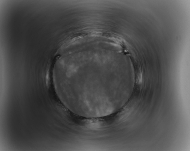 X0000089690524200707121338