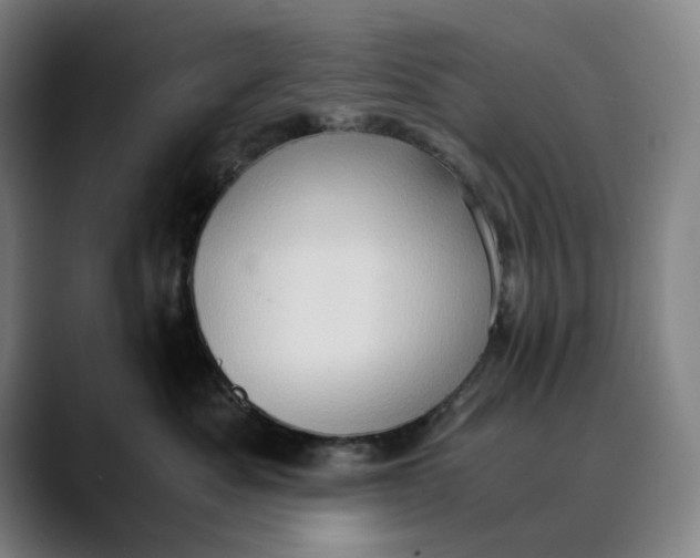 X0000089690525200707121338