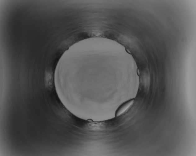 X0000089690526200707121338