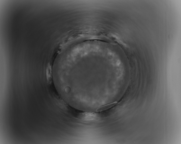 X0000089690528200707121338