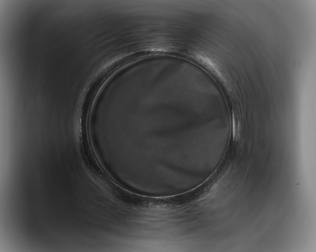 X0000089690531200707121338