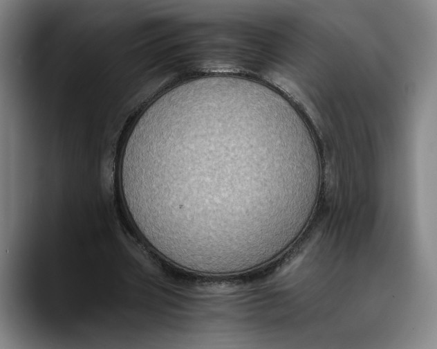 X0000089690533200707121338