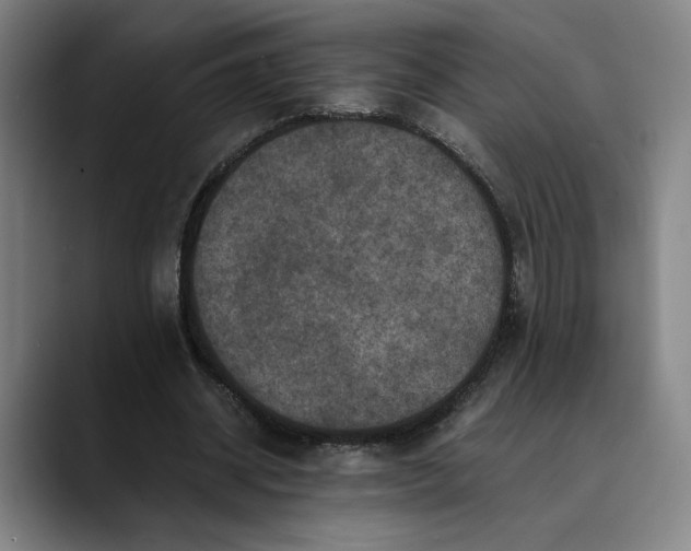 X0000089690534200707121338