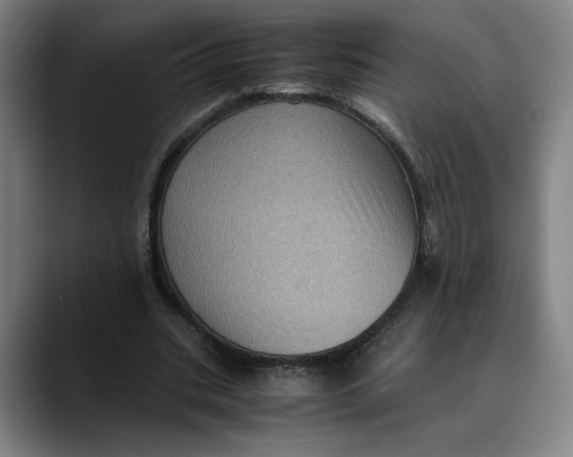 X0000089690535200707121338