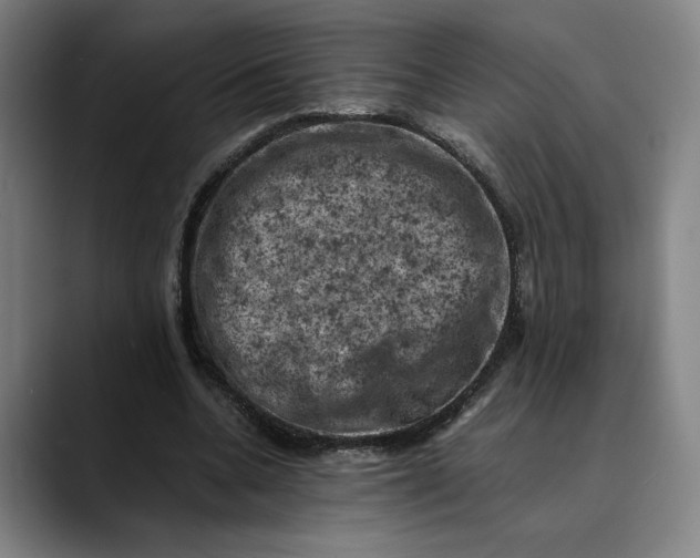 X0000089690536200707121338