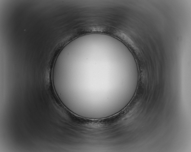 X0000089690537200707121338