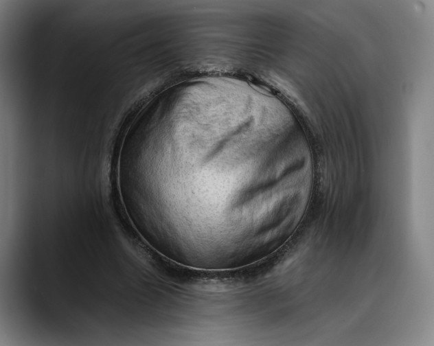 X0000089690538200707121338