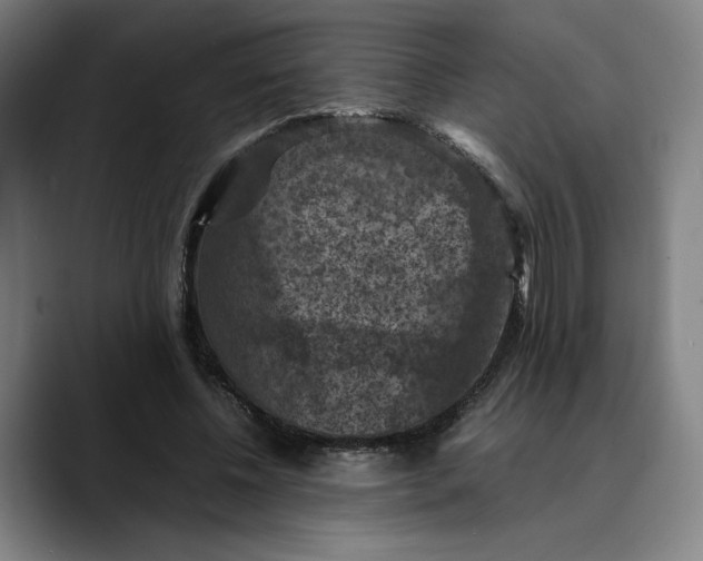 X0000089690540200707121338