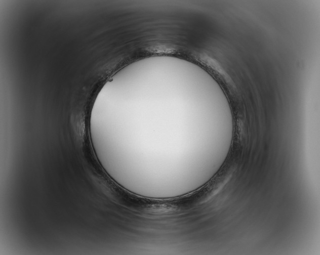 X0000089690541200707121338