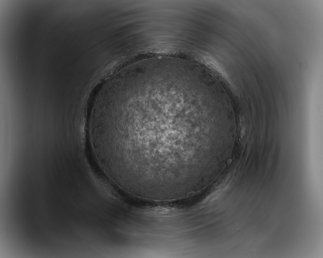 X0000089690542200707121338