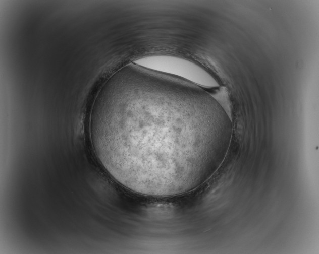 X0000089690543200707121338