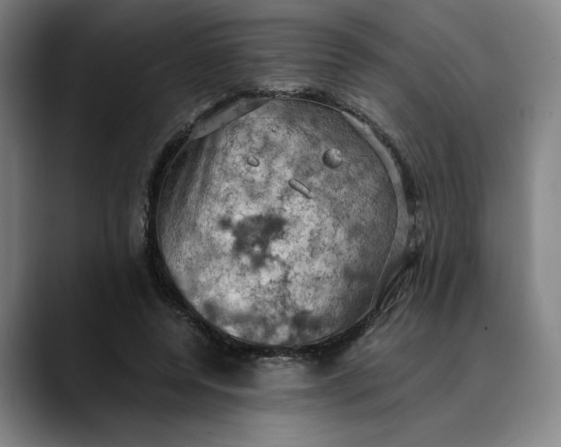 X0000089690544200707121338