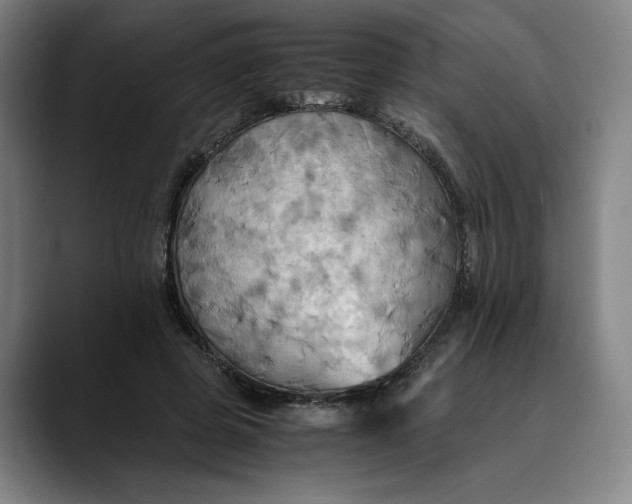 X0000089690545200707121338