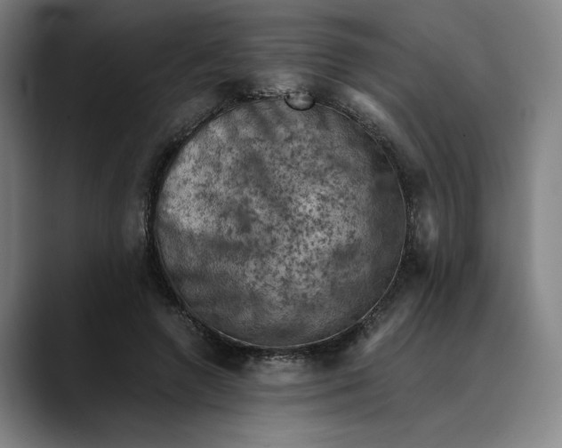 X0000089690546200707121338