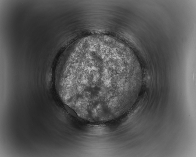 X0000089690548200707121338