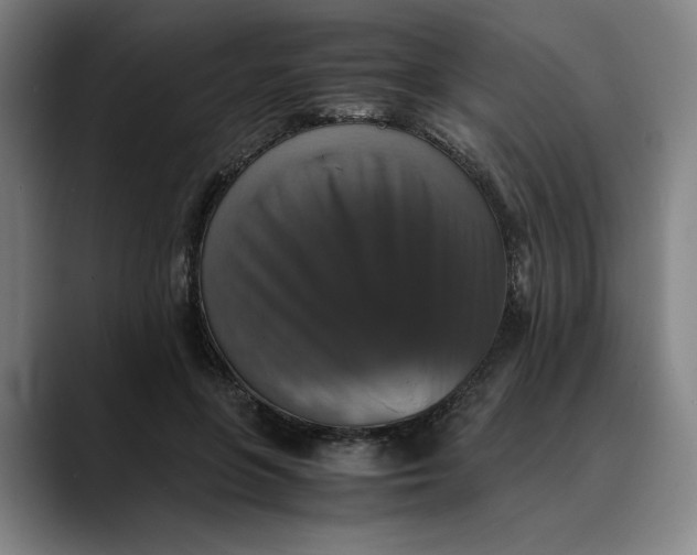 X0000089690551200707121338