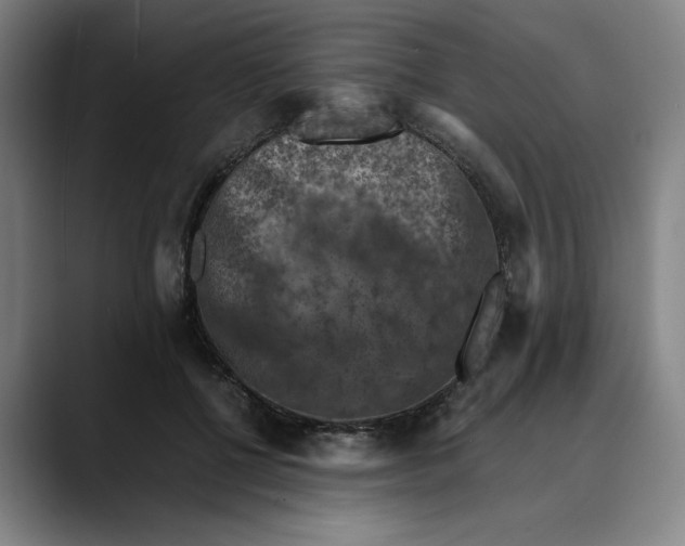 X0000089690552200707121338