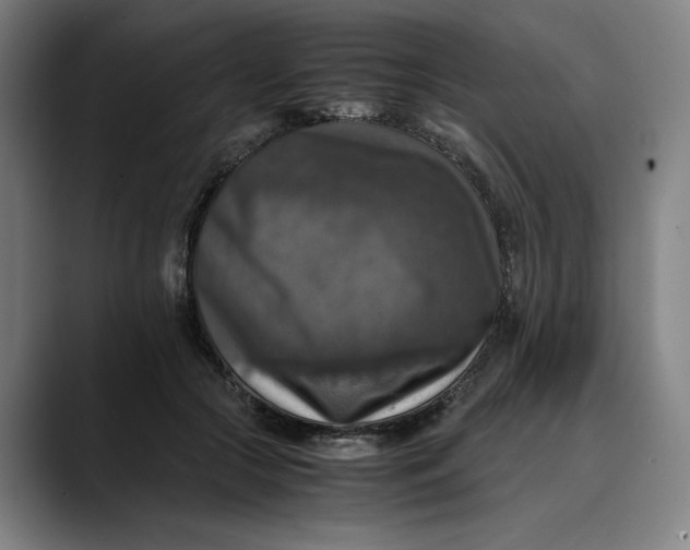 X0000089690553200707121338