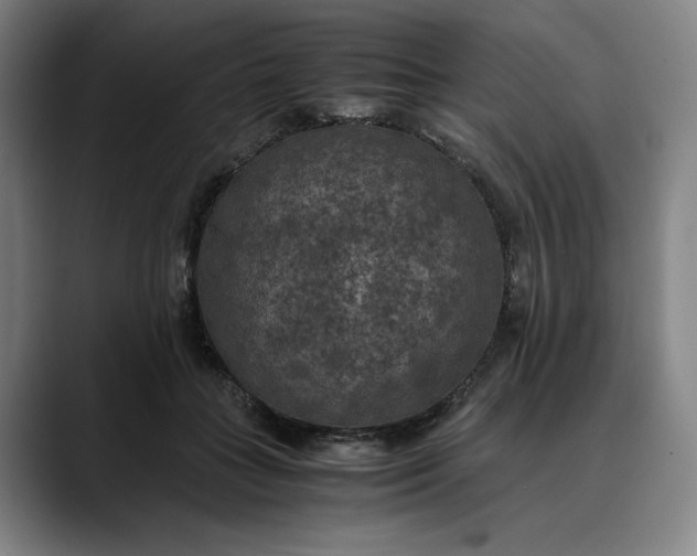 X0000089690555200707121338