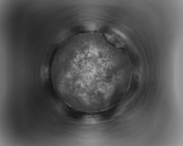 X0000089690556200707121338