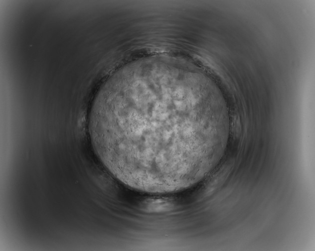 X0000089690557200707121338