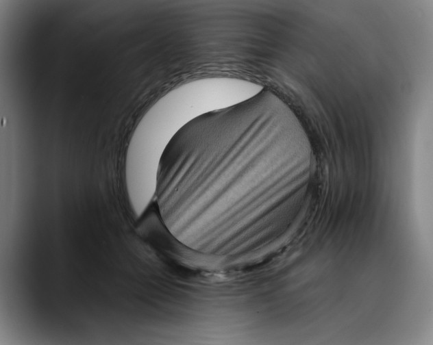 X0000089690558200707121338