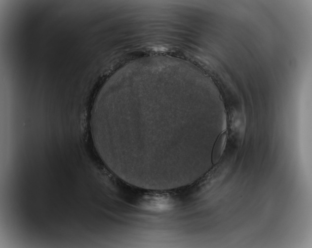 X0000089690559200707121338