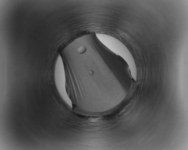 X0000089690560200707121338