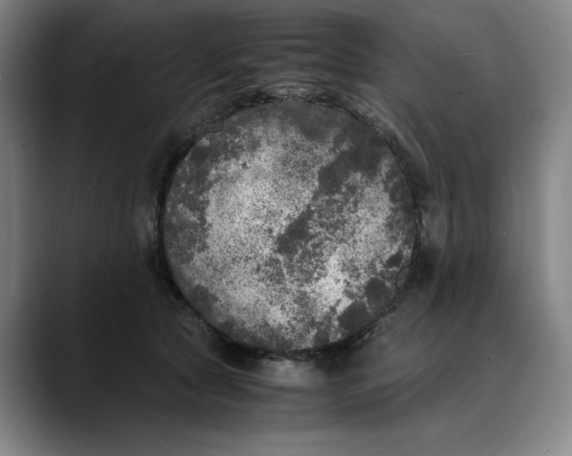 X0000089690561200707121338