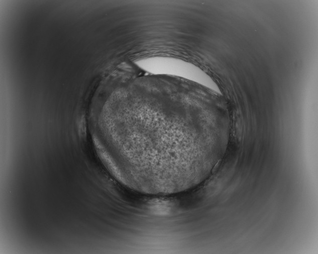 X0000089690562200707121338