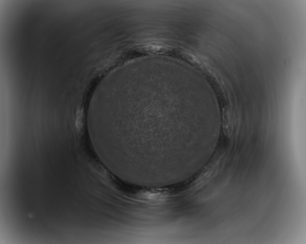 X0000089690563200707121338