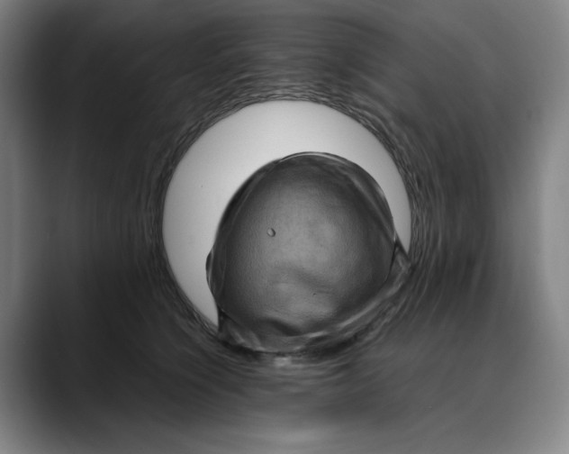 X0000089690564200707121338