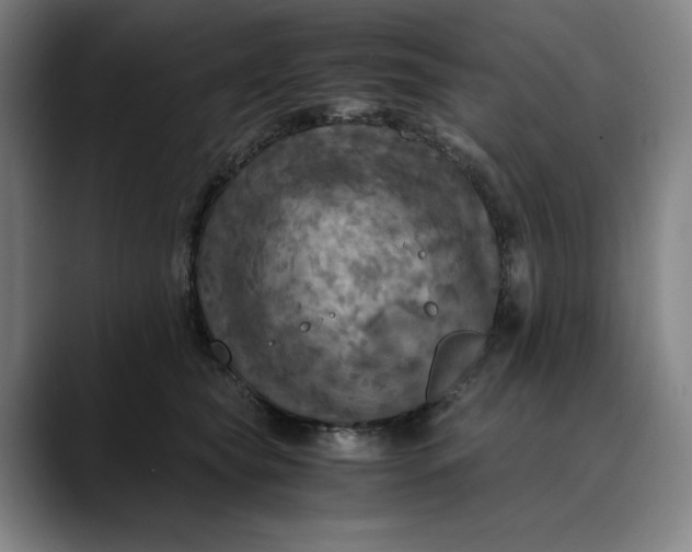 X0000089690565200707121338